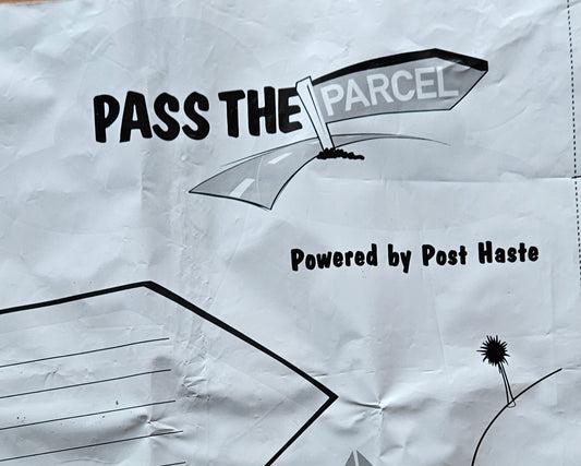OOPS I FORGOT TO PAY A LARGE BAG COURIER