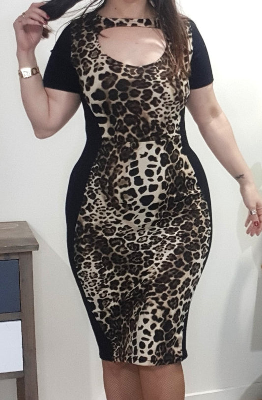 preloved animal print dress for sale in good second hand condition. size 8. Auckland