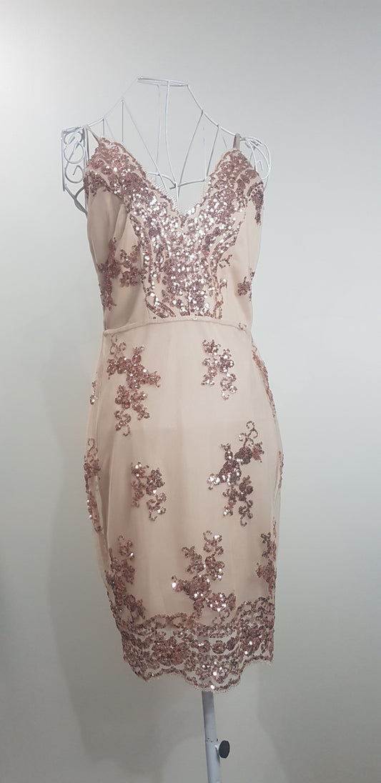 Nude and Gold Sequin Dress - Second Hand Gem! Used dress