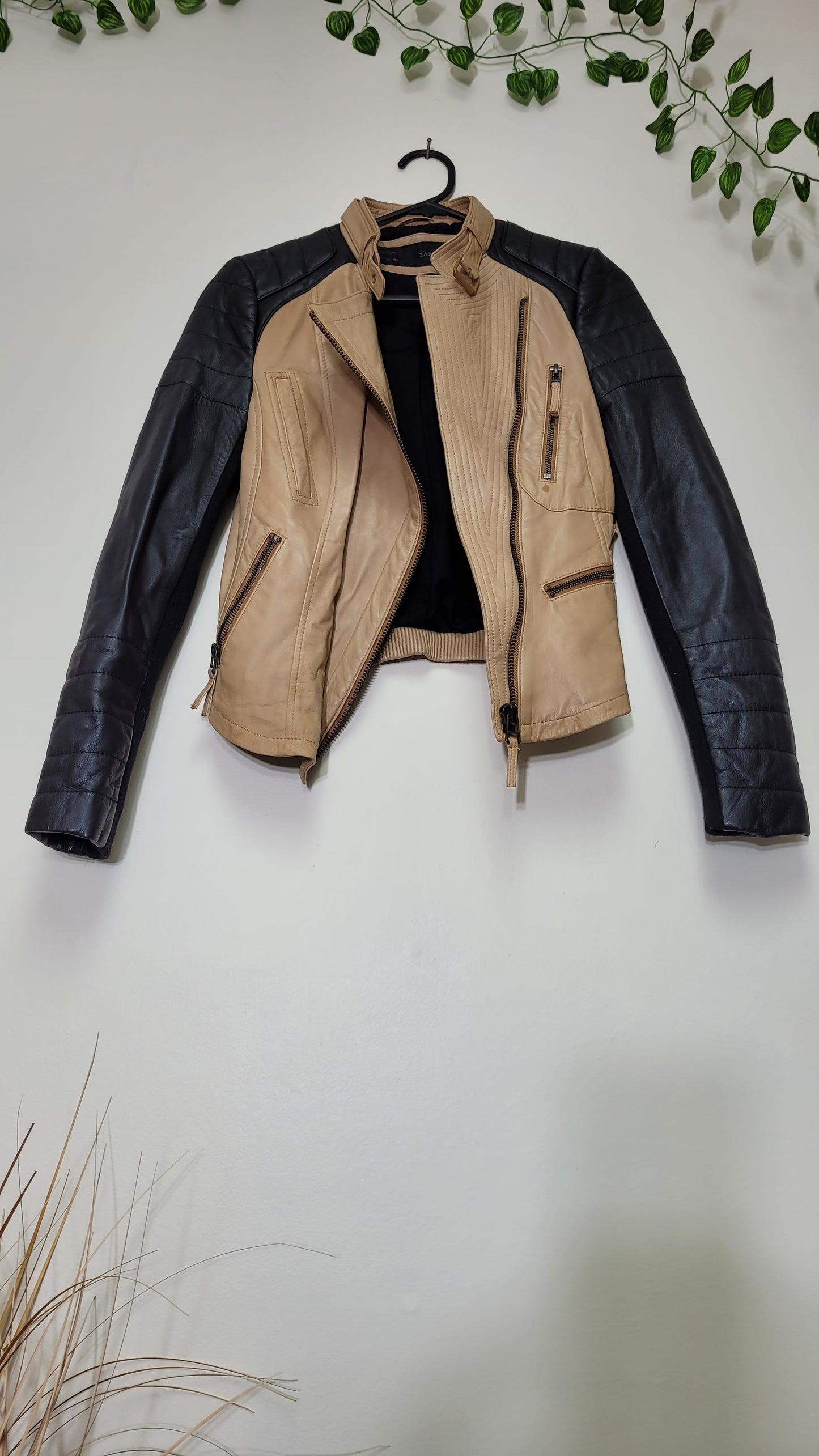 Stunning Zara Jacket - Beige and Black Beauty