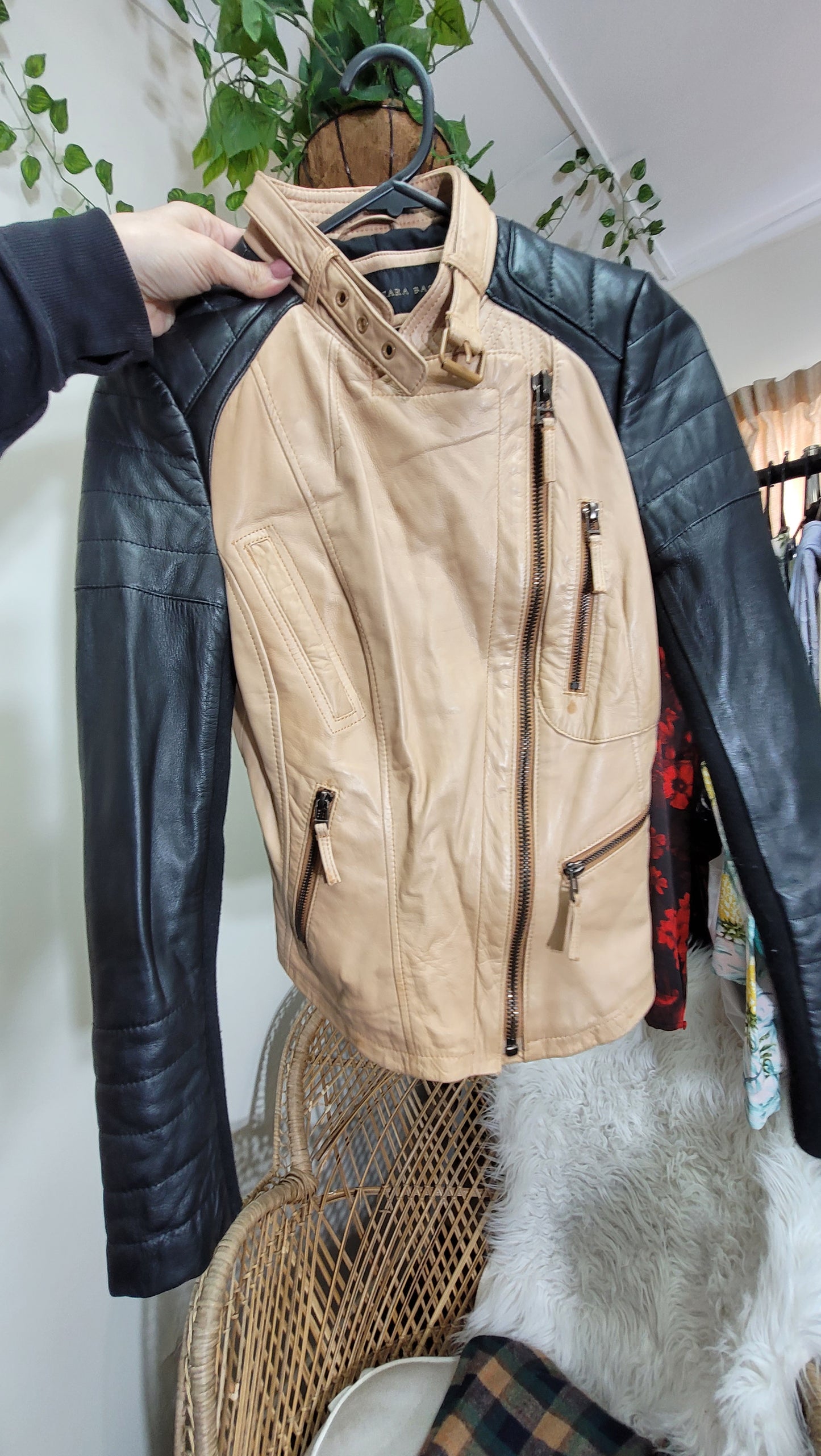 Stunning Zara Jacket - Beige and Black Beauty