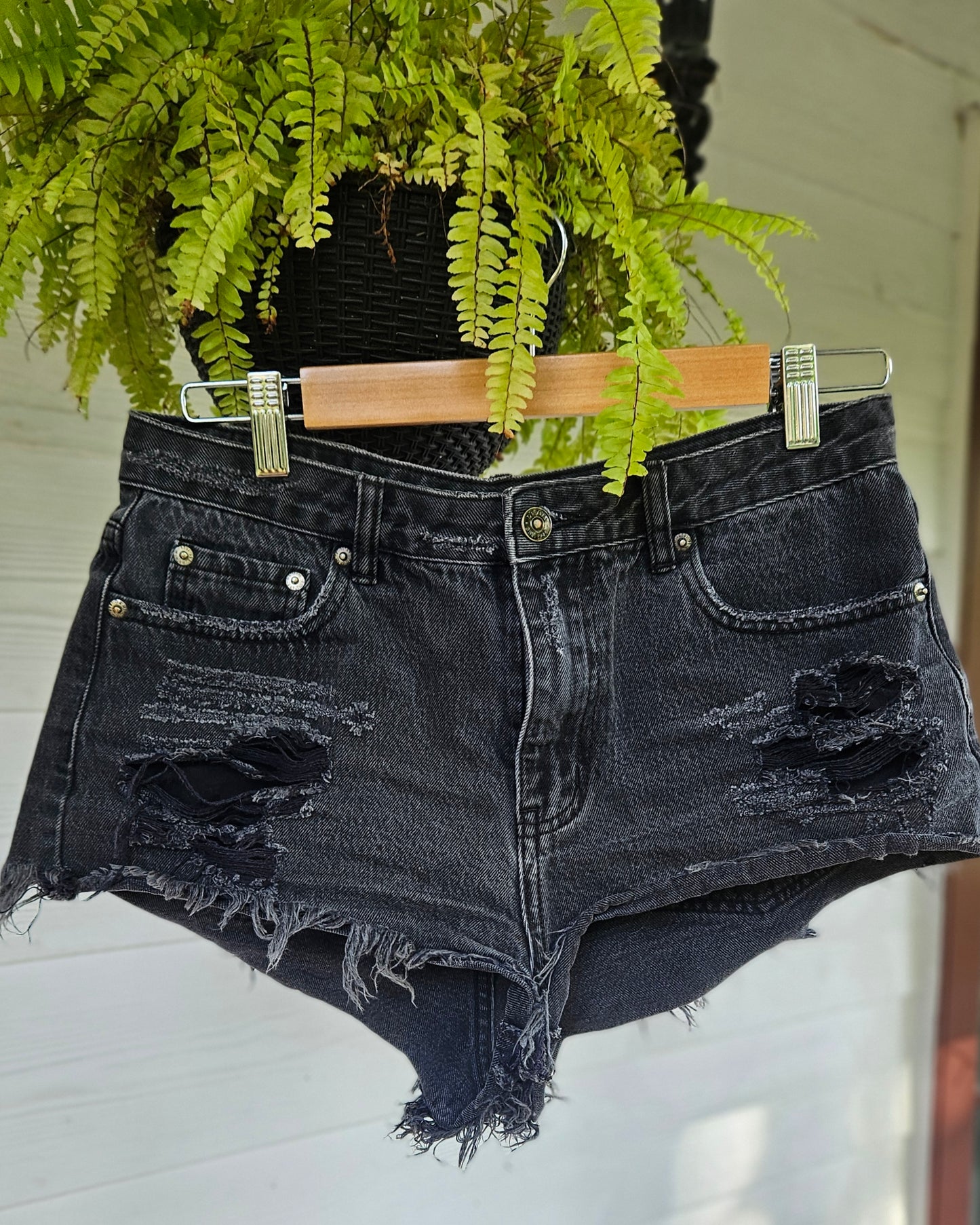 Denim Shorts by Glassons. Size 10
