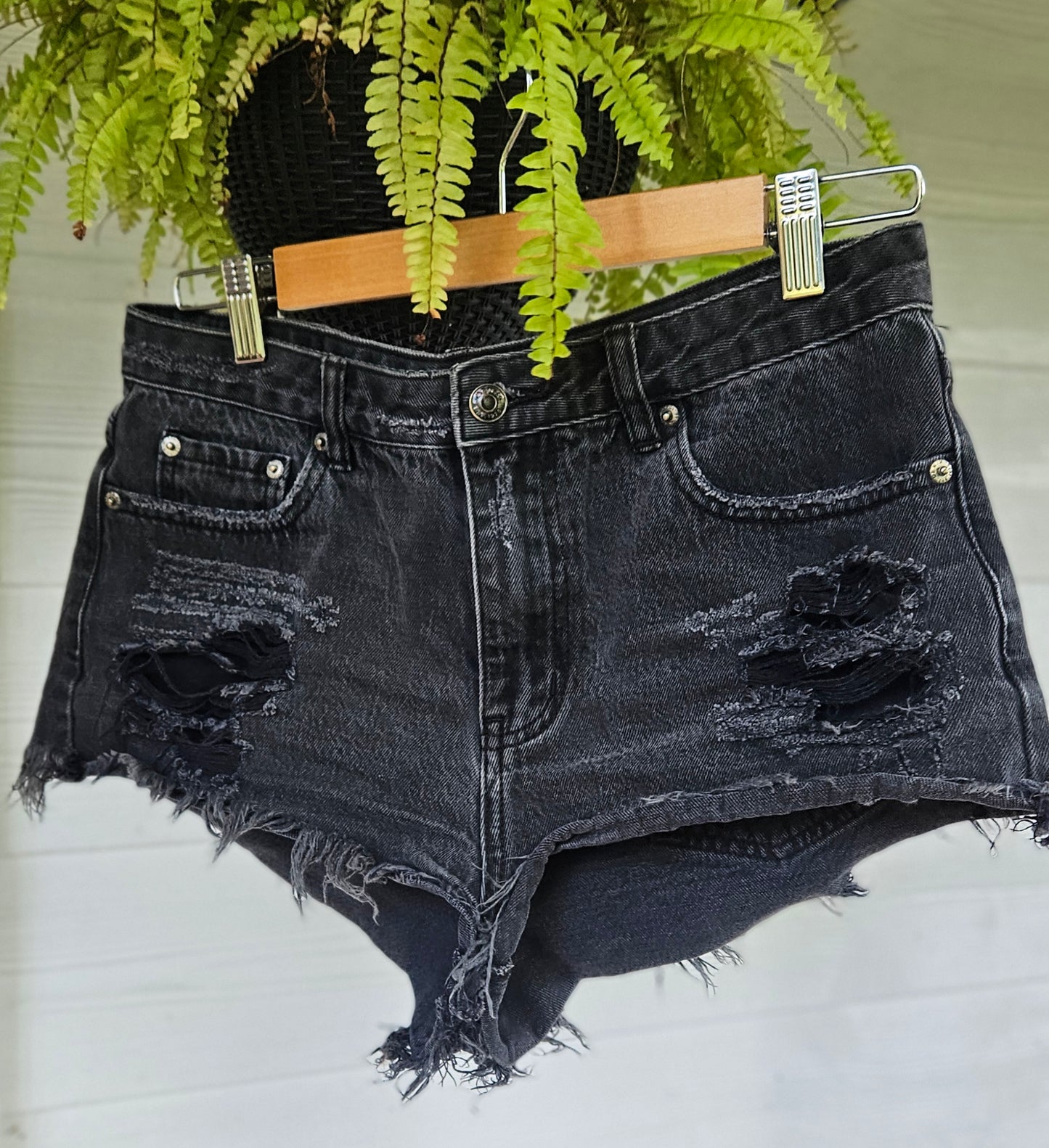 Denim Shorts by Glassons. Size 10