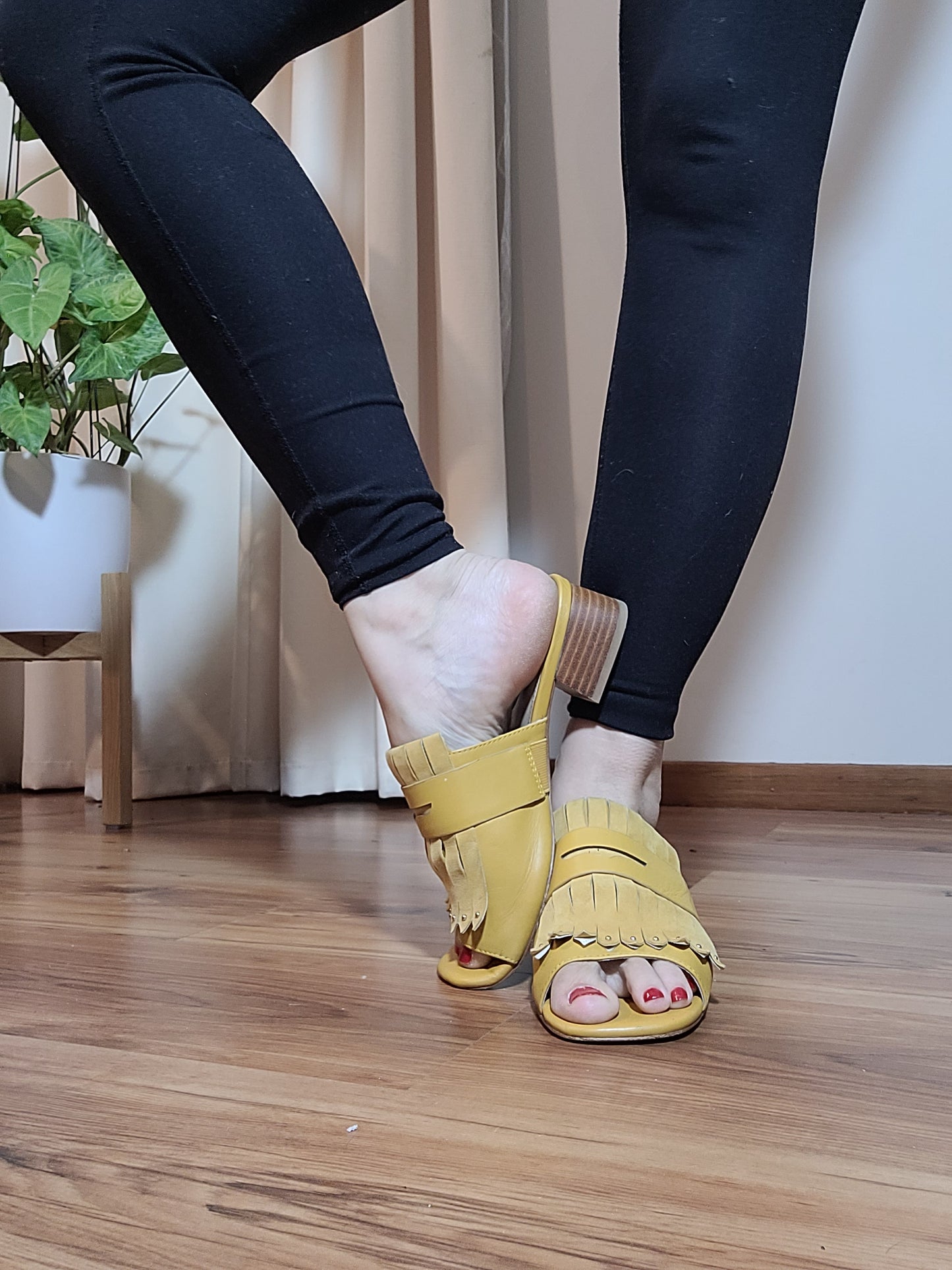 Isabella Anselmi Mule Mustard Suede